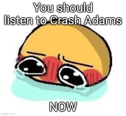 amb shamb bbbmba | You should listen to Crash Adams; NOW | image tagged in amb shamb bbbmba | made w/ Imgflip meme maker