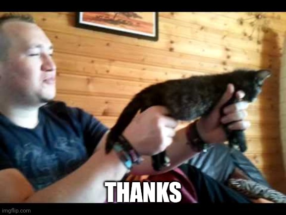 Cat gun | THANKS | image tagged in cat gun | made w/ Imgflip meme maker