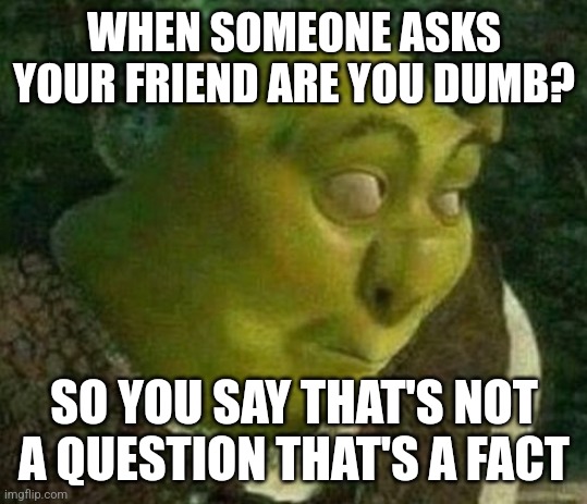 Oops shrek | WHEN SOMEONE ASKS YOUR FRIEND ARE YOU DUMB? SO YOU SAY THAT'S NOT A QUESTION THAT'S A FACT | image tagged in oops shrek | made w/ Imgflip meme maker