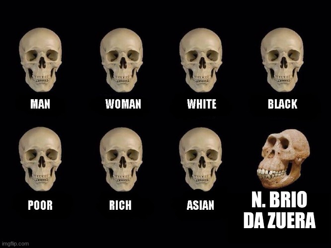 empty skulls of truth | N. BRIO DA ZUERA | image tagged in empty skulls of truth | made w/ Imgflip meme maker