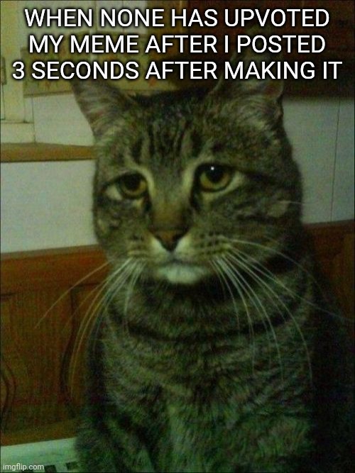Depressed Cat Meme | WHEN NONE HAS UPVOTED MY MEME AFTER I POSTED 3 SECONDS AFTER MAKING IT | image tagged in memes,depressed cat | made w/ Imgflip meme maker