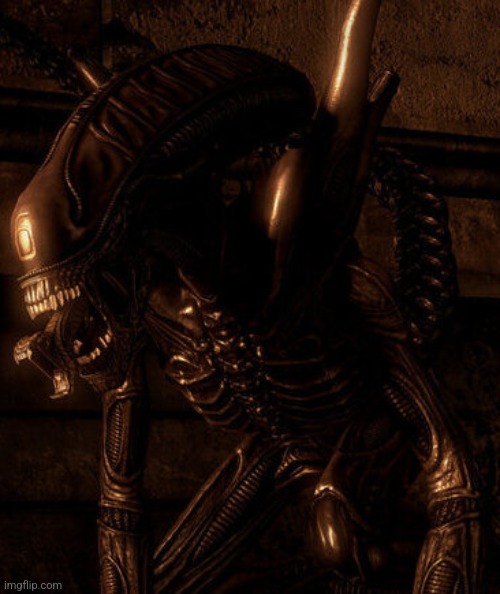 Six The Xenomorph | image tagged in six the xenomorph | made w/ Imgflip meme maker