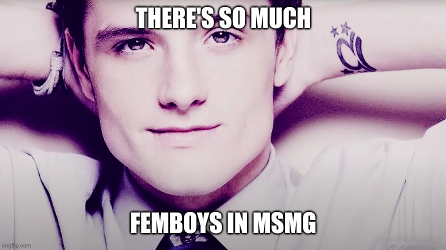 WHY THE FUCK IS MSMG FILLED WITH FEMBOYS | THERE'S SO MUCH; FEMBOYS IN MSMG | image tagged in josh hutcherson whistle | made w/ Imgflip meme maker