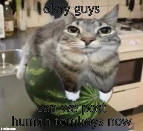 funny car | okay guys; can we post human femboys now | image tagged in funny car | made w/ Imgflip meme maker