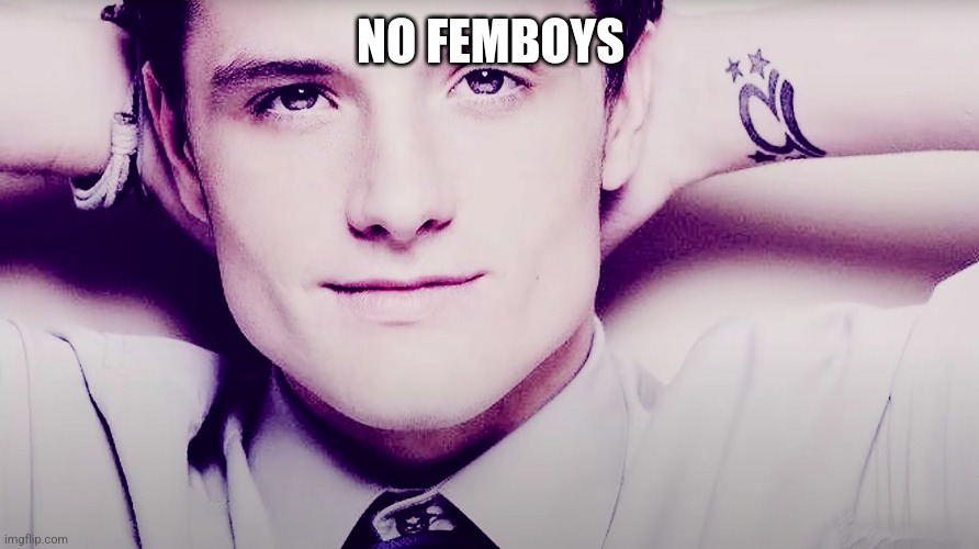 Josh hutcherson whistle | NO FEMBOYS | image tagged in josh hutcherson whistle | made w/ Imgflip meme maker