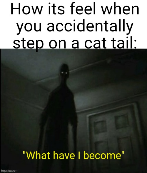 I hate my meme | How its feel when you accidentally step on a cat tail:; "What have I become" | image tagged in blank white template,memes,funny | made w/ Imgflip meme maker