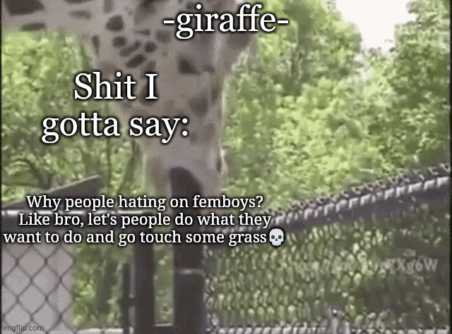 -giraffe- | Why people hating on femboys? Like bro, let's people do what they want to do and go touch some grass💀 | image tagged in -giraffe- | made w/ Imgflip meme maker
