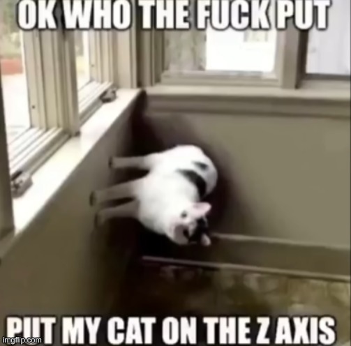 Cat in the z axis | image tagged in cat in the z axis | made w/ Imgflip meme maker