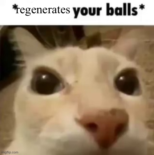 @sporko | regenerates | image tagged in x your balls | made w/ Imgflip meme maker