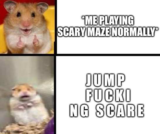 real | *ME PLAYING SCARY MAZE NORMALLY*; J U M P   F U C K I N G   S C A R E | image tagged in hamster happy and hamster scary | made w/ Imgflip meme maker
