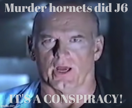 January 6th, the insurrection that was attempted by everybody else just trying to make Cult 45 look bad | Murder hornets did J6; IT'S A CONSPIRACY! | image tagged in think again,jesse ventura,conspiracy,january 6th insurrection,j6,it was everybody else's fault | made w/ Imgflip meme maker
