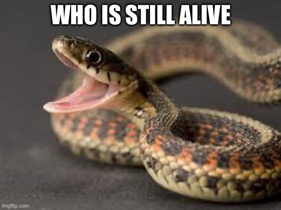 Warning Snake | WHO IS STILL ALIVE | image tagged in warning snake | made w/ Imgflip meme maker