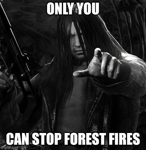 Not Important | ONLY YOU; CAN STOP FOREST FIRES | image tagged in not important | made w/ Imgflip meme maker