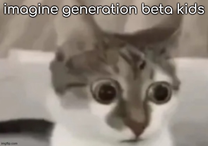 bombastic side eye cat | imagine generation beta kids | image tagged in bombastic side eye cat | made w/ Imgflip meme maker