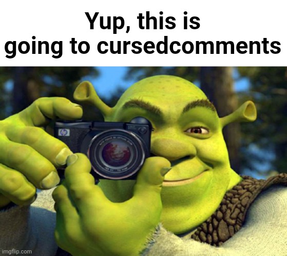 shrek camera | Yup, this is going to cursedcomments | image tagged in shrek camera | made w/ Imgflip meme maker