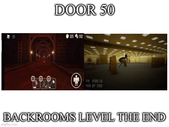 Blank White Template | DOOR 50; BACKROOMS LEVEL THE END | image tagged in blank white template | made w/ Imgflip meme maker