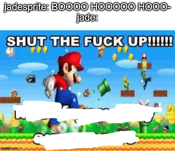 SHUT THE FUCK UP!!!!!! | jadesprite: BOOOO HOOOOO HOOO-
jade: | image tagged in shut the fuck up | made w/ Imgflip meme maker