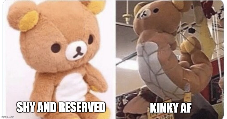 Preferences | KINKY AF; SHY AND RESERVED | image tagged in sex jokes | made w/ Imgflip meme maker