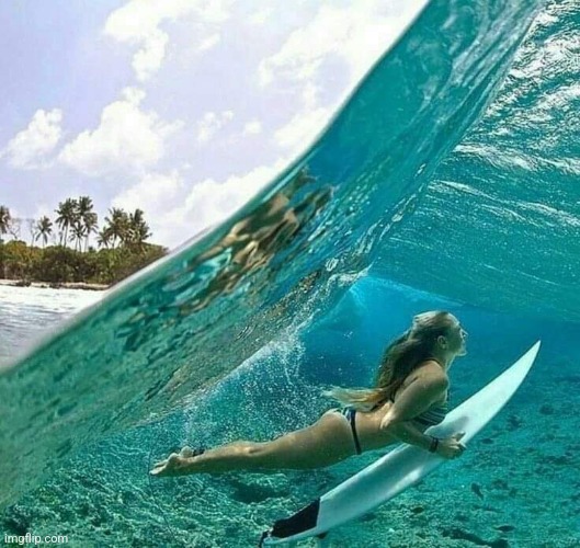 In the wave | image tagged in surfing,waves,beach,ocean,awesome,photography | made w/ Imgflip meme maker