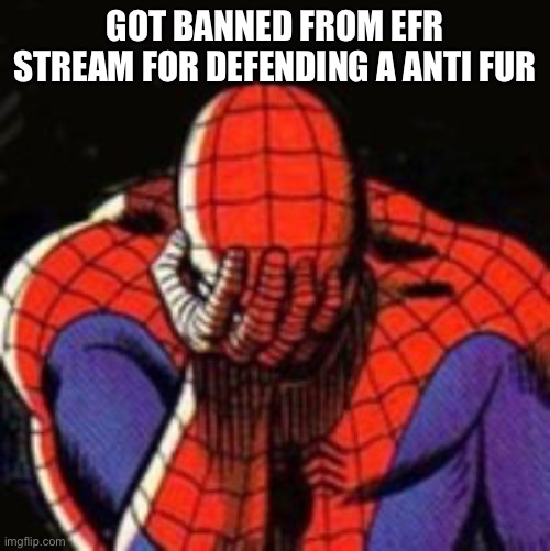 The facepalm is because the guy is still yapping. | GOT BANNED FROM EFR STREAM FOR DEFENDING A ANTI FUR | image tagged in memes,sad spiderman,spiderman | made w/ Imgflip meme maker