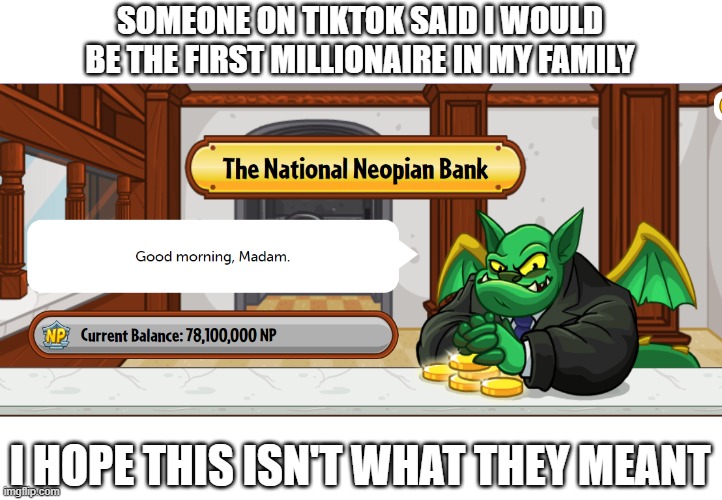 Millionaire | SOMEONE ON TIKTOK SAID I WOULD BE THE FIRST MILLIONAIRE IN MY FAMILY; I HOPE THIS ISN'T WHAT THEY MEANT | image tagged in tiktok,neopets,first millionaire in the family,national neopian bank | made w/ Imgflip meme maker
