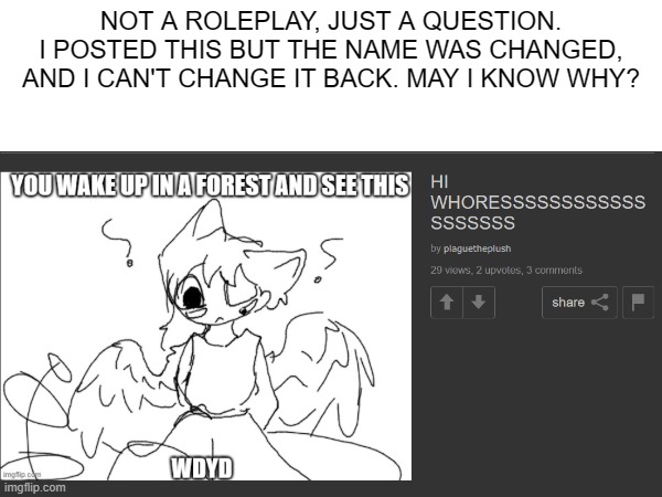 Question | NOT A ROLEPLAY, JUST A QUESTION.
I POSTED THIS BUT THE NAME WAS CHANGED, AND I CAN'T CHANGE IT BACK. MAY I KNOW WHY? | made w/ Imgflip meme maker