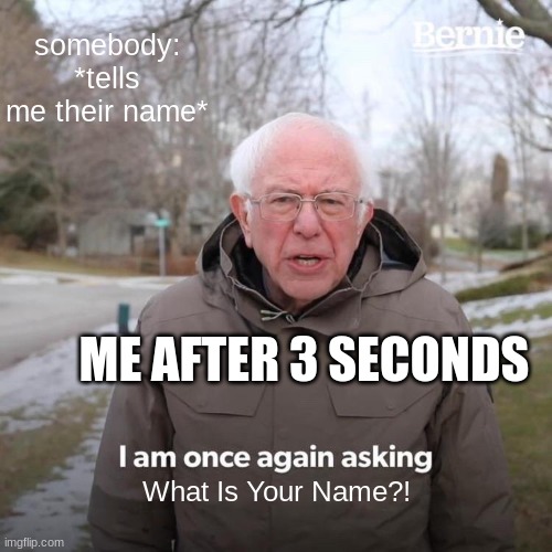 I am soooooo FORGETFUL | somebody: *tells me their name*; ME AFTER 3 SECONDS; What Is Your Name?! | image tagged in memes,bernie i am once again asking for your support | made w/ Imgflip meme maker