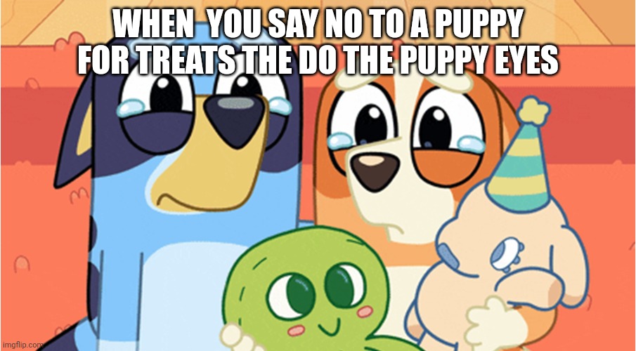 Puppy is so cute | WHEN  YOU SAY NO TO A PUPPY FOR TREATS THE DO THE PUPPY EYES | image tagged in bluey memes,cute puppies | made w/ Imgflip meme maker