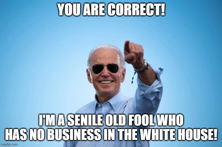 Senile Old Fool | YOU ARE CORRECT! I'M A SENILE OLD FOOL WHO HAS NO BUSINESS IN THE WHITE HOUSE! | image tagged in biden,idiot,senile,incompetent | made w/ Imgflip meme maker