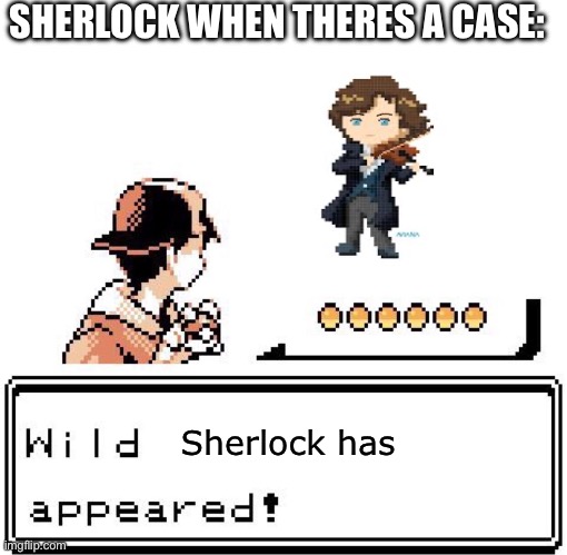 Blank Wild Pokemon Appears | SHERLOCK WHEN THERES A CASE:; Sherlock has | image tagged in blank wild pokemon appears,sherlock holmes | made w/ Imgflip meme maker