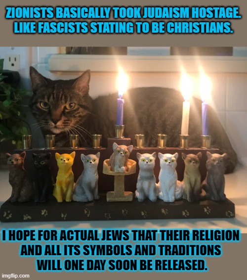 This #lolcat wonder if you can be religious without following the teachings | ZIONISTS BASICALLY TOOK JUDAISM HOSTAGE. LIKE FASCISTS STATING TO BE CHRISTIANS. I HOPE FOR ACTUAL JEWS THAT THEIR RELIGION 
AND ALL ITS SYMBOLS AND TRADITIONS 
WILL ONE DAY SOON BE RELEASED. | image tagged in lolcat,zionism,judaism,anti-religious,conservative hypocrisy | made w/ Imgflip meme maker