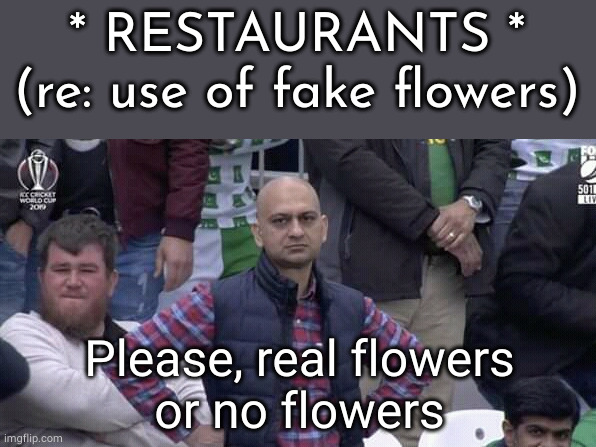 A personal plea | * RESTAURANTS *
(re: use of fake flowers); Please, real flowers
or no flowers | image tagged in annoyed man,flowers,fake flowers,oh wow are you actually reading these tags | made w/ Imgflip meme maker
