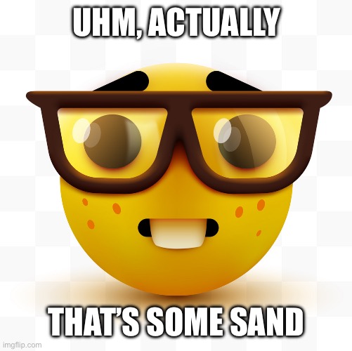 Nerd emoji | UHM, ACTUALLY THAT’S SOME SAND | image tagged in nerd emoji | made w/ Imgflip meme maker