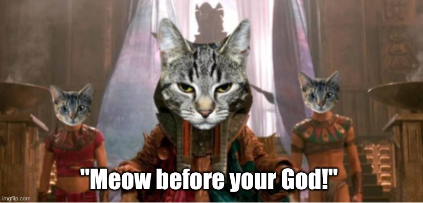 Meow before your God | "Meow before your God!" | image tagged in starg | made w/ Imgflip meme maker