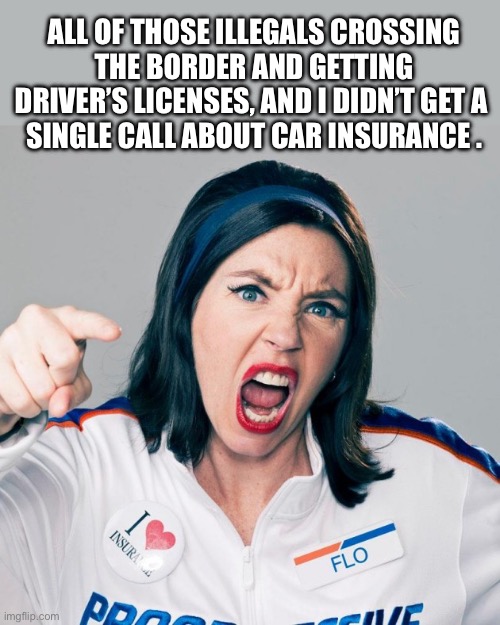 I’m sure the lizard didn’t either. | ALL OF THOSE ILLEGALS CROSSING
THE BORDER AND GETTING DRIVER’S LICENSES, AND I DIDN’T GET A 
SINGLE CALL ABOUT CAR INSURANCE . | image tagged in flo progressive,border,illegal,mexico,truth | made w/ Imgflip meme maker