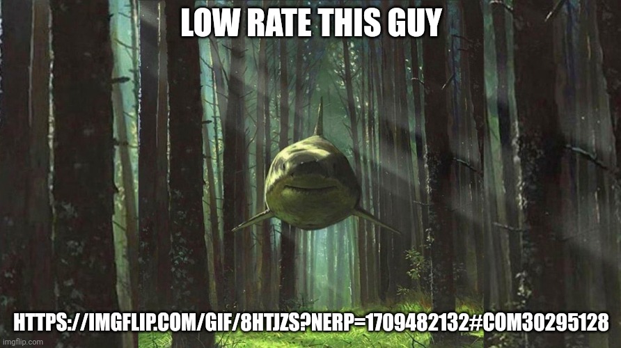 https://imgflip.com/gif/8htjzs?nerp=1709482132#com30295128 | LOW RATE THIS GUY; HTTPS://IMGFLIP.COM/GIF/8HTJZS?NERP=1709482132#COM30295128 | image tagged in shark in forest | made w/ Imgflip meme maker