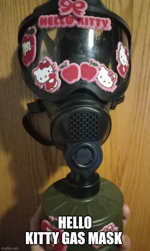 Hello kitty gas mask | HELLO KITTY GAS MASK | image tagged in gas mask,hello kitty,kawaii,you have been eternally cursed for reading the tags | made w/ Imgflip meme maker