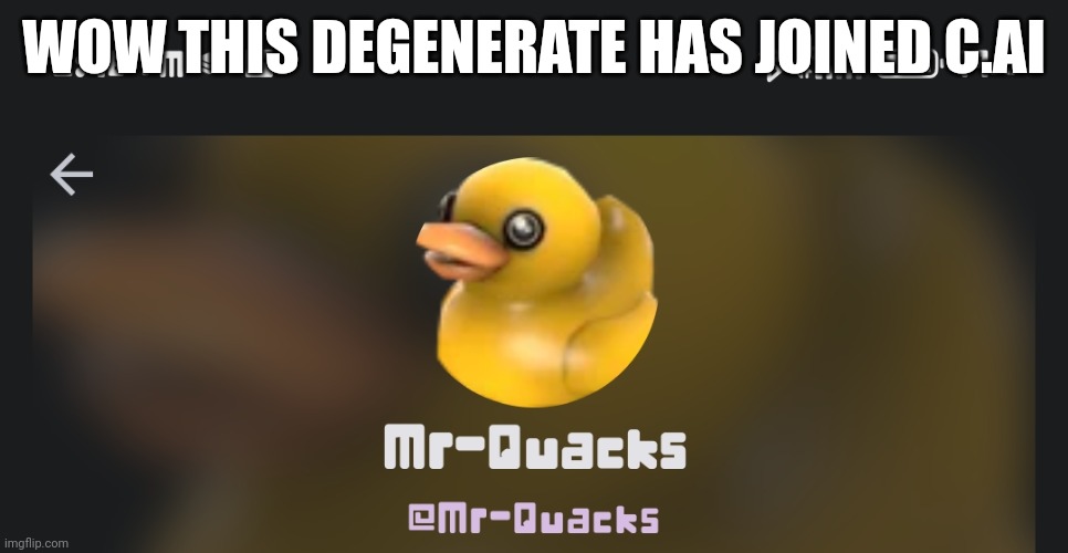 MrsQuacks has joined character.ai and it's bad | WOW THIS DEGENERATE HAS JOINED C.AI | image tagged in degenerate,bro not cool | made w/ Imgflip meme maker