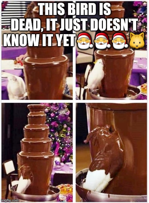 Idk sterling having post | THIS BIRD IS DEAD, IT JUST DOESN'T KNOW IT YET🎅🎅🎅🐱 | image tagged in birb | made w/ Imgflip meme maker