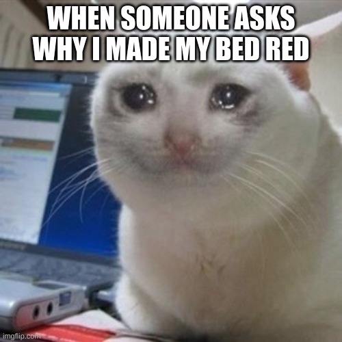 *nostalgia warning* | WHEN SOMEONE ASKS WHY I MADE MY BED RED | image tagged in crying cat | made w/ Imgflip meme maker