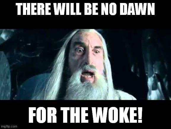There will be a reckoning! You best believe that, you w*** ****s. | THERE WILL BE NO DAWN; FOR THE WOKE! | image tagged in memes,funny,funny memes,fun,saruman,woke | made w/ Imgflip meme maker