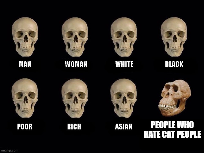 Cats may not be as playful as dogs, but that's just it. | PEOPLE WHO HATE CAT PEOPLE | image tagged in empty skulls of truth,dogs an cats,cats,dogs | made w/ Imgflip meme maker