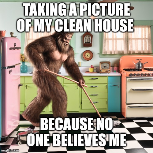 Elusive clean house sighting | TAKING A PICTURE OF MY CLEAN HOUSE; BECAUSE NO ONE BELIEVES ME | image tagged in meme,mom,bigfoot,cleaning,relatable,funny | made w/ Imgflip meme maker