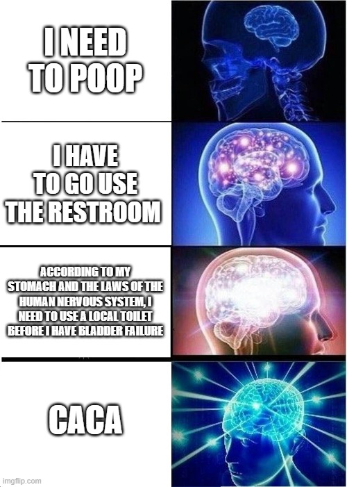 i need to go | I NEED TO POOP; I HAVE TO GO USE THE RESTROOM; ACCORDING TO MY STOMACH AND THE LAWS OF THE HUMAN NERVOUS SYSTEM, I NEED TO USE A LOCAL TOILET BEFORE I HAVE BLADDER FAILURE; CACA | image tagged in memes,expanding brain | made w/ Imgflip meme maker