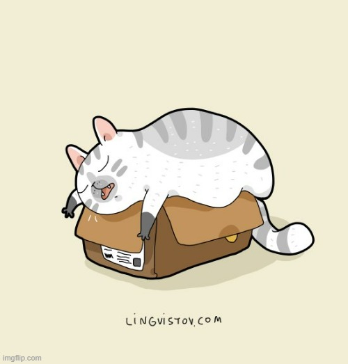 A Cat's Way Of Thinking | image tagged in memes,comics/cartoons,cats,box,when you see it,i fit | made w/ Imgflip meme maker