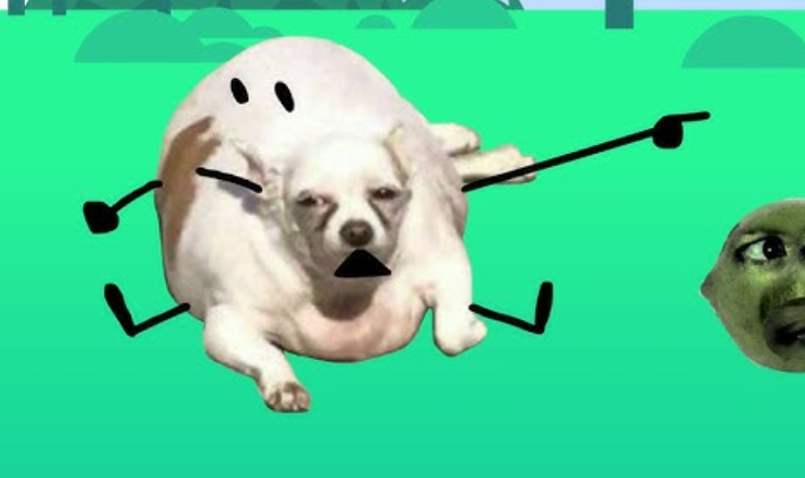 High Quality Plump Dog Pointing Blank Meme Template