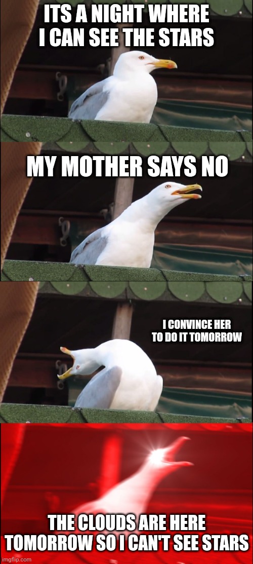 MOM LET ME SEE THE STARS | ITS A NIGHT WHERE I CAN SEE THE STARS; MY MOTHER SAYS NO; I CONVINCE HER TO DO IT TOMORROW; THE CLOUDS ARE HERE TOMORROW SO I CAN'T SEE STARS | image tagged in memes,inhaling seagull,lemme do it,wait your reading these tags frfr | made w/ Imgflip meme maker