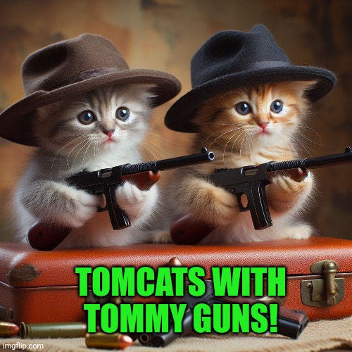 TOMCATS WITH TOMMY GUNS! | made w/ Imgflip meme maker