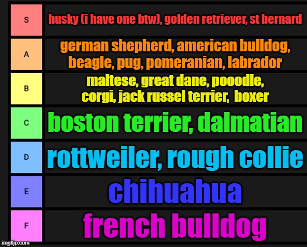 MORE DOG BREEDS | husky (i have one btw), golden retriever, st bernard; german shepherd, american bulldog, beagle, pug, pomeranian, labrador; maltese, great dane, pooodle, corgi, jack russel terrier,  boxer; boston terrier, dalmatian; rottweiler, rough collie; chihuahua; french bulldog | image tagged in dog breed tier list,hi chat | made w/ Imgflip meme maker