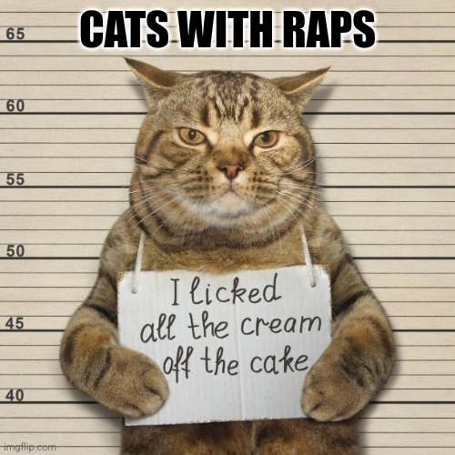CATS WITH RAPS | made w/ Imgflip meme maker
